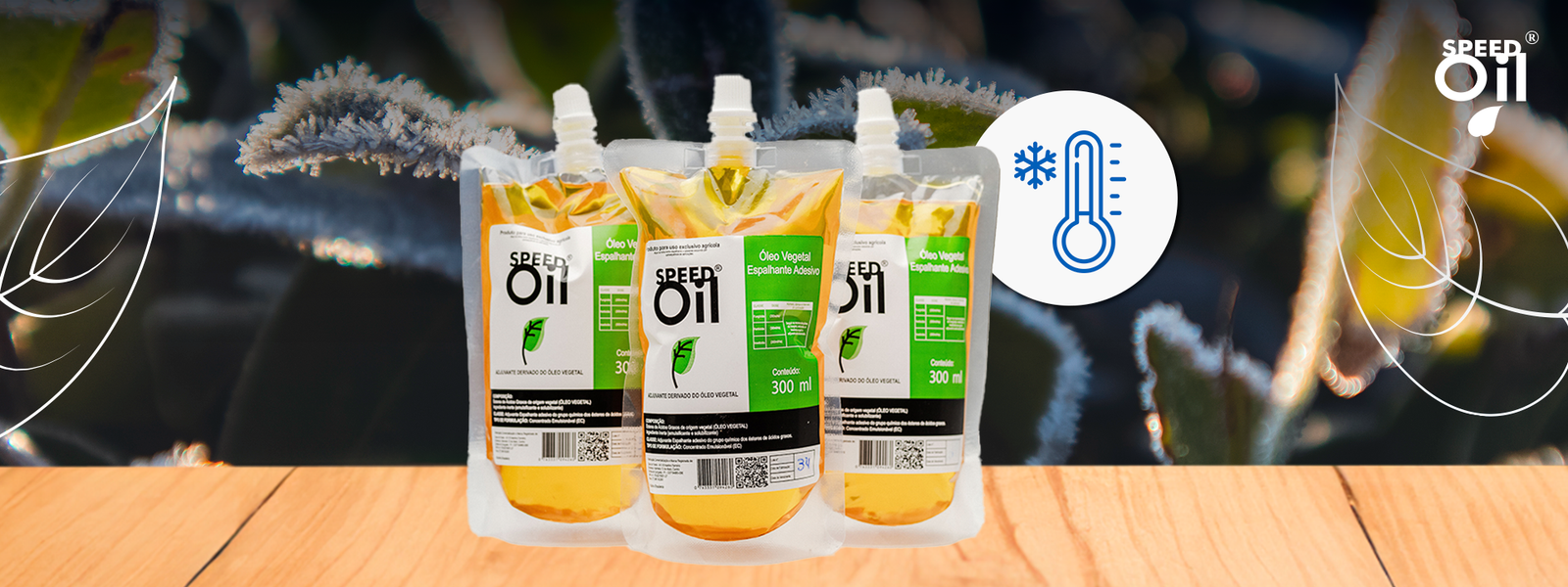 Processo de Extração a Frio: como a Speed Oil garante a qualidade
